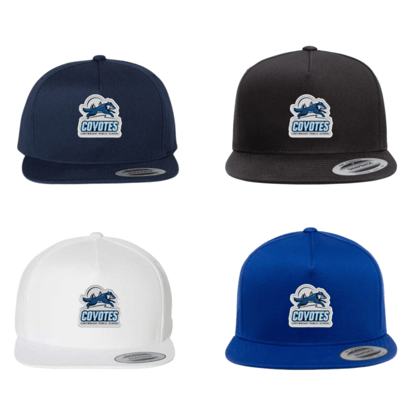 Snapback Hat - Image 2