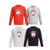 Men's Under Armour Hoodie