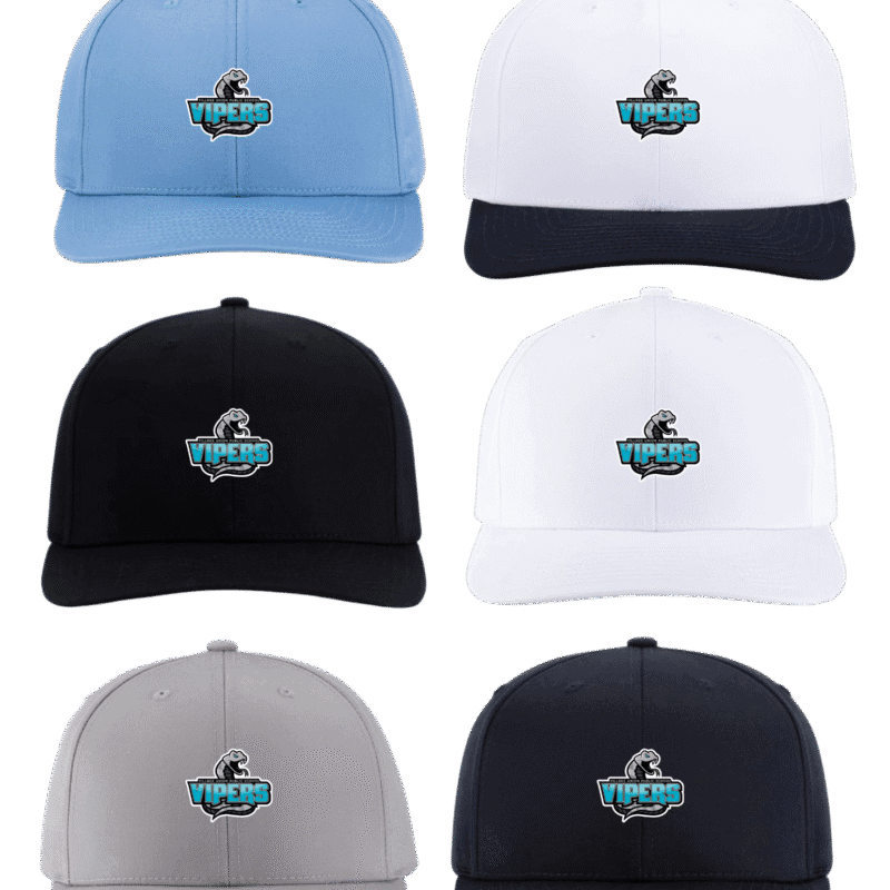 Vipers Snapback Hat